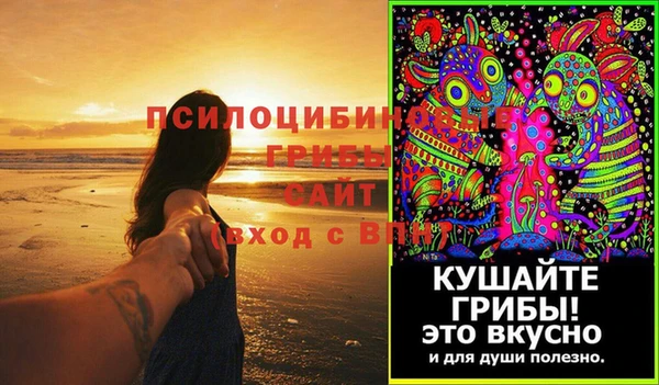 ECSTASY Абаза
